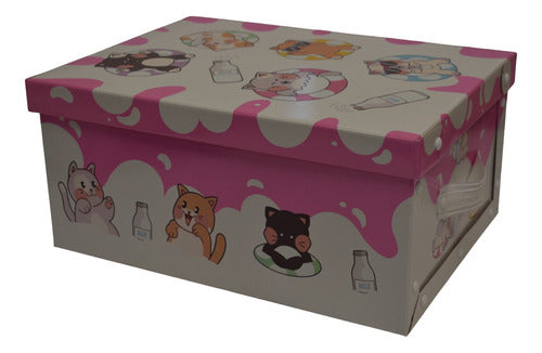 Microbox Large Cat Storage Box 48x36x22cm 4