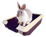 Rabbit Rodent Small Sanitary Tray Litter Box 3