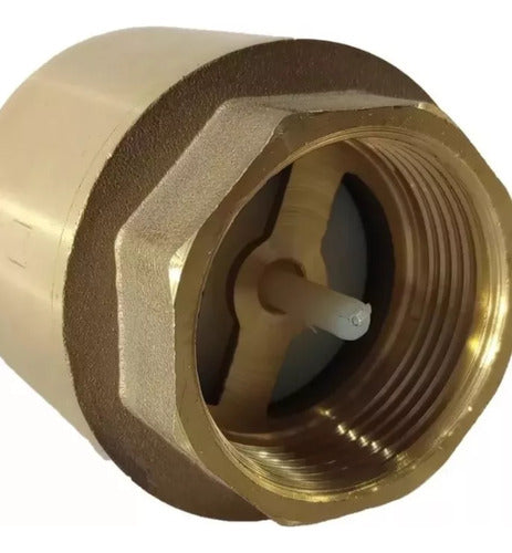 Valforte 1 Inch Check Valve 1