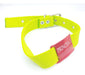 MEDALLAS PARA PERROS Chapitas Perros Pasador Rojo + Collar Verde Manzana De 3cm 2