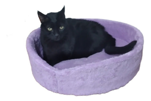 Rumbo Mascotero Moses Bed for Cats - Dogs - Pets 50 X 15 0