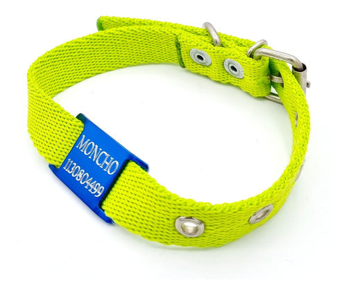 MEDALLAS PARA PERROS Chapitas Perros Pasador Azul + Collar De 2cm Verde Manzana 2