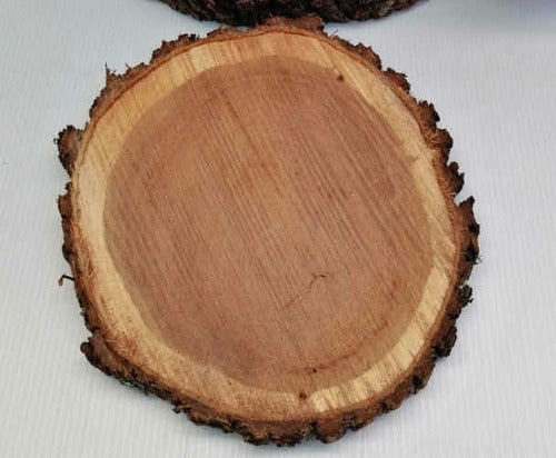 Naturaleza Log Slices with a 25Cm Diameter 3