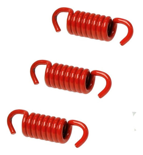 Malossi Clutch Springs for Yamaha N Max 155 - Red 0