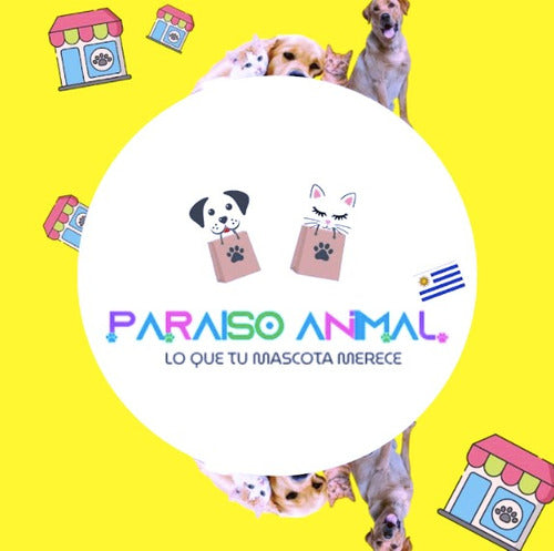 Paraiso Animal Airtag Cat Collar with Bell 2