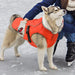 Jaqueta Emust Winter Dog, Roupa Para Cães À Prova De Vento P 5