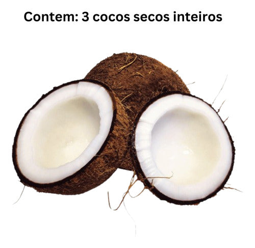 3 Cocos Secos Inteiros C/casca Cocada Nucífera 4