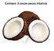 3 Cocos Secos Inteiros C/casca Cocada Nucífera 4