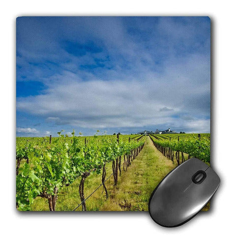 3drose Llc 8 x 8 x 0.25 inches Mouse Pad, Usa, Washington 0