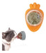 Interactive Cat Toy with Rotating Catnip for Wall 13