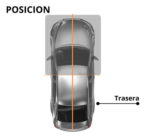 Kit Espirales Standard Traseros Renault Clio 1