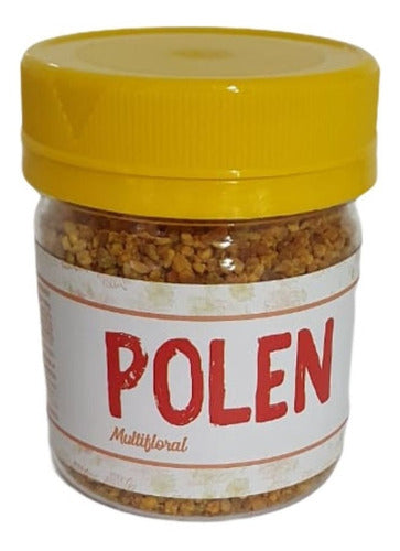 Polen De Abejas Granulado X 100gr Apidelta 0