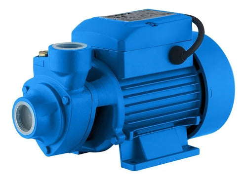Gamma 1/2hp Peripheral Water Pump QB60 20m Lift 40l/min 0
