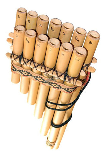 AJU Sicus Aju Double Panpipe 13 Tubes 1