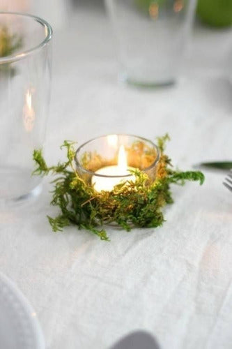 Natural Moss Decorative Dry + LED Light Centerpiece 50g 1