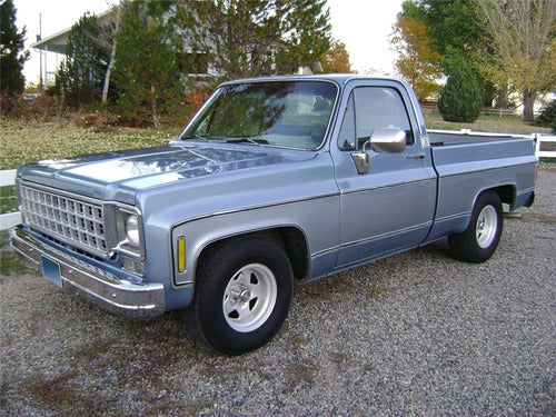 Chevrolet Pick Up 1974-1991 Left Door Panel 1