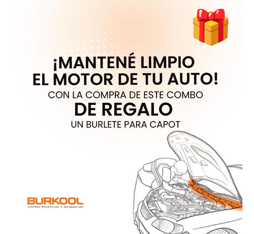 Kit Burletes De Puerta Y Baúl Volkswagen Gacel + Regalo 1