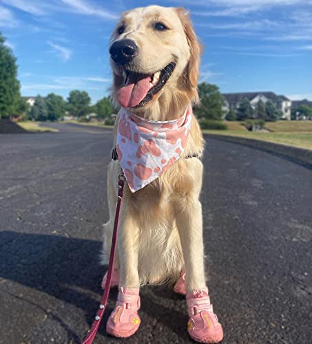 Qumy Calzado Mascota Zapato Talle 7 Color Rosado 4