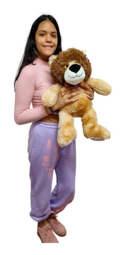 Yani Toys Medium Lion Plush Toy 56cm FT040004 0