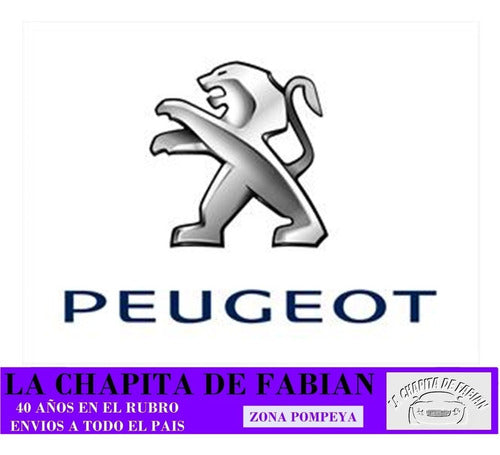 Peugeot Juego X2 Panel Puerta Trasero 206 / 207 4 Ptas 1