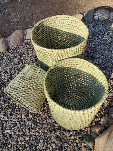 Handwoven Caranday Palm Plant Holder 20cm Diameter x 20cm Height 1