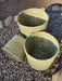 Handwoven Caranday Palm Plant Holder 20cm Diameter x 20cm Height 1