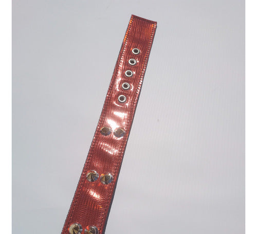 XL Eco Leather Dog Collar for Pet 55cm 19