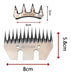 Peine Cuchilla Beiyuan Esquilar 3/4 Esquiladora- Ferrejido 1