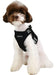 Puppia Soft Vest Harness Pro - Black - Large 3