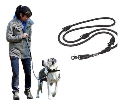 Estilo Mascota Correa Paseo Perro Premium Doble Enganche Hasta 2 Perros 0