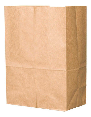 Te Importamos Bolsa Delivery Papel Kraf 20x30x11 Cm. Ecologicas X 100 U. 0