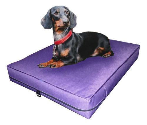 Nuestros Bartulos Dog Bed Mattress Antidesgarro 60x50x10 Cm 0