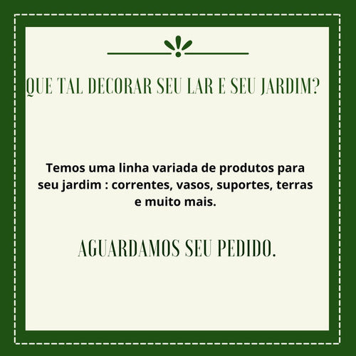 120 Vasos Pote 11 Mudas Plantas Plástico Preto Flor Violeta 6