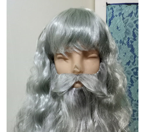 Peluca Y Barba Gris Texturizada By La Parti Wigs 1