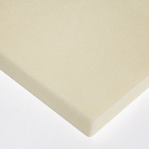 High Density Foam Sheet 30kg/m3 130x65x10 0