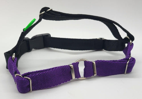 For My Dog Bicolor Anti-Pull Chest Harness Size 0,1 6