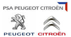 Motor Mount Peugeot Expert 1.6 Hdi 3