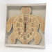 Sea Creations Wall Clock Decorative Turtle Wooden 3