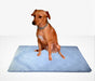 Papel P/cão Aves 1000 Unid Pipidog Ou Gaiolas 20x40 Cm Top 0