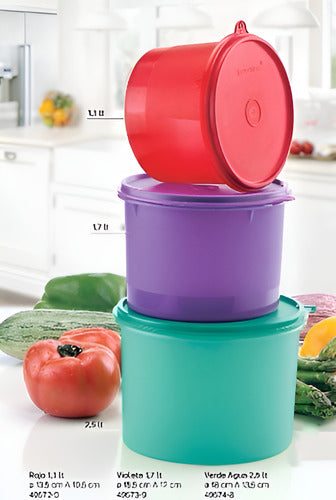 Tupperware Hermético Poeme 2.5 Liters 2