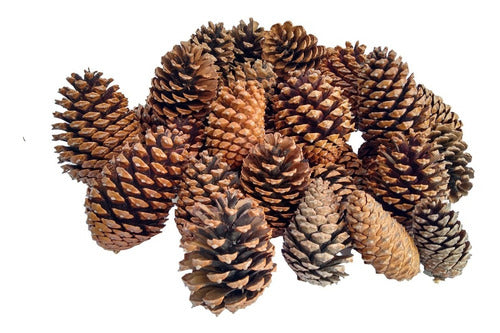 Set of 12 Natural Pine Cones Christmas Decoration Ornaments 0