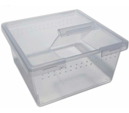 Mini Plastic Box for Spiderlings Tarantulas x10 units 0