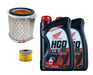 Honda XR 300 Service Kit for Rally Moto Sur 0