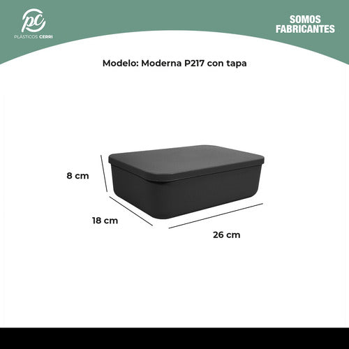 Plásticos Cerri Set X3 Canastos Organizadores Con Tapa Cajas 26x18x8 Moderna 1