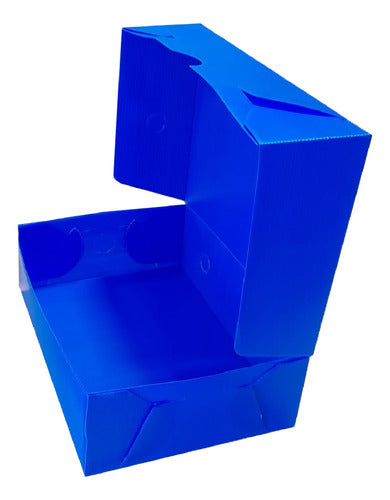 Cartonplast Caja Archivo Plástica Azul Oficio Tv 36x25x12cm 4