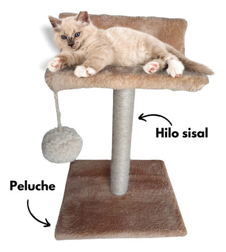 Mau Rascador Gato Sol Árbol Sisal 1 Piso 2