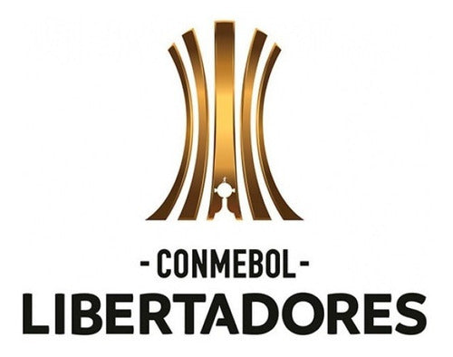 Copa Libertadores Todos Los Campeones A La Actualidad 35 Cm 1