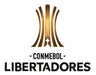 Copa Libertadores Todos Los Campeones A La Actualidad 35 Cm 1