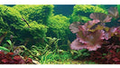 Sporn Aquarium Background Estatica Cling Tropical 24 X 12 0