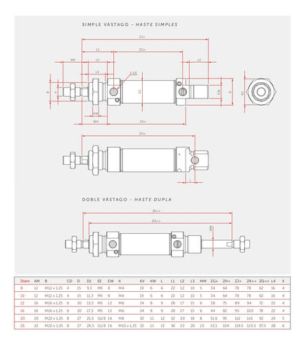 Intor Double Effect Pneumatic Cylinder 16 X 80 Mm with Magnet 1